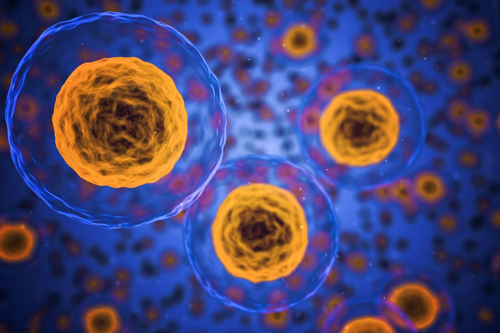 Illustration of yellow cells on a blue background. 