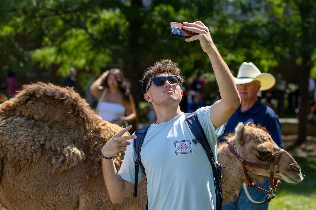 Student taking a photo with a camel during Hump Day event.